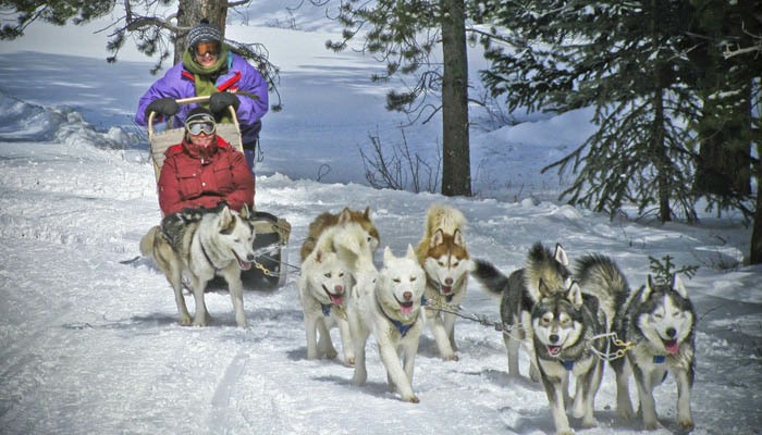 Winter Activities in Summit County