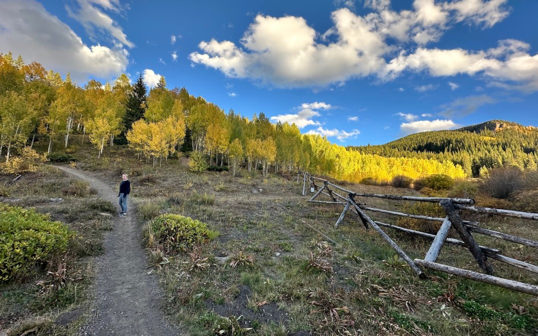 Aspen Alley Fall Hike